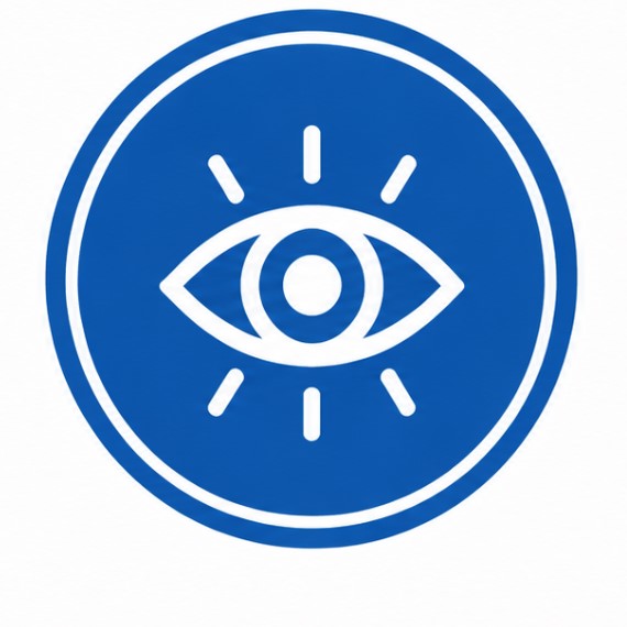 Vision